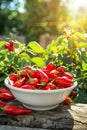 chili pepper in a bowl in a white bowl on a wooden table. Selective focus Royalty Free Stock Photo