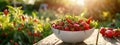 chili pepper in a bowl in a white bowl on a wooden table. Selective focus Royalty Free Stock Photo