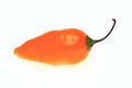 Chili pepper, Capsicum annuum