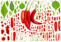 Chili Pepper Slice and Leaf Collection Royalty Free Stock Photo