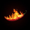 Chili pepper on fire isolated on black background. Elements for graphic design Royalty Free Stock Photo