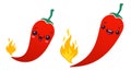 Chili pepper with flame Royalty Free Stock Photo