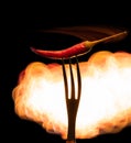 Chili pepper on a fork Royalty Free Stock Photo