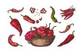 Chili pepper. Hand drawn colored sketch of spicy kitchen seasoning. Red and green isolated vegetables cut into pieces