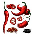 Chili Pepper hand drawn vector illustration. Vegetable artistic Royalty Free Stock Photo