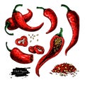 Chili Pepper hand drawn vector illustration. Vegetable artistic style object. Royalty Free Stock Photo