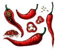 Chili Pepper hand drawn vector illustration. Vegetable engraved style object. Isolated hot spicy mexican Royalty Free Stock Photo