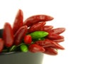 Chili pepper and hot red pepper very close Royalty Free Stock Photo