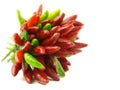 Chili pepper and hot red pepper very close Royalty Free Stock Photo