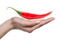 Chili pepper and human hand