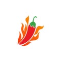 chili-pepper icon. flat illustration of chili-pepper - vector icon Royalty Free Stock Photo