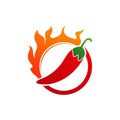 chili-pepper icon. flat illustration of chili-pepper - vector icon Royalty Free Stock Photo