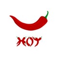 Chili pepper icon, spicy vegetable illustration, spicy mexican food. chili-pepper sign symbol