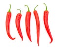 Chili pepper isolated