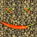 Chili pepper ornament foundation on a background of black pepper folded diagonal pods crosses eyes and mouth joyful face