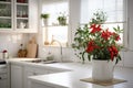 a chili pepper plant with red and green peppers in a bright, white kitchen Royalty Free Stock Photo