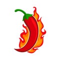 Chili pepper red hot burn for spicy flavor for food taste. Vector spicy chili pepper in fire burning Royalty Free Stock Photo