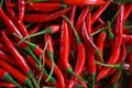 Chili pepper, Red hot chilli peppers pattern texture background. Close up group of ripe red chilli Royalty Free Stock Photo