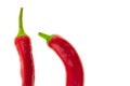 Chili pepper red part of a pod straight curved on a white background design culinary base