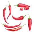 Chili pepper set in cartoon flat style. Different type of hot spicy vegetables. Whole and cut. Cayenne peppers. Vector illustratio