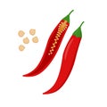 Chili pepper vector flat illustration. Whole and halved chilli and seeds isolated on white background. Packaging design