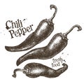 Chili pepper vector logo design template. fresh