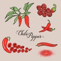 Chili pepper vector set.