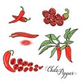 Chili pepper vector set Royalty Free Stock Photo