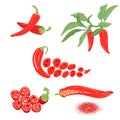 Chili pepper vector set. Royalty Free Stock Photo