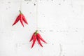 Chili pepper on a white brick background