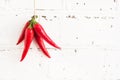 Chili pepper on a white brick background Royalty Free Stock Photo