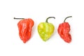 Chili peppers Royalty Free Stock Photo