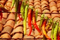 Chili peppers dryin on sun with background of tiled roof of village