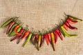 Chili peppers on a row on burlap texture Royalty Free Stock Photo