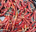 Chili peppers, from Nahuatl ch?lli, are varieties of the berry-fruit of plants Royalty Free Stock Photo