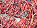 Chili peppers, from Nahuatl ch?lli, are varieties of the berry-fruit of plants