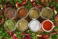 Various spices for dishes on wooden boards, camera from above