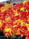 Chili peppers at a produce stand