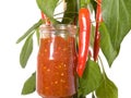 Chili plant with sambal Royalty Free Stock Photo