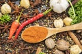 Chili powder with variety spices above table Royalty Free Stock Photo