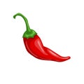 chili red hot cartoon vector illustration