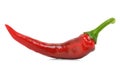 Chili red pepper Royalty Free Stock Photo