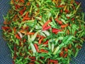 Chili setan in grey basket Royalty Free Stock Photo
