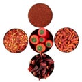 Chili Spice Variety