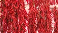 chili texture pepper background spicey horizontal no people Royalty Free Stock Photo