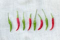 Chili on white fabric background