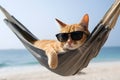 Chill ginger cat lounges in hammock, wearing shades, at idyllic beach cool, laid back vibes