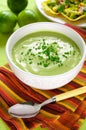 Chilled Avocado and Cucumber Soup. Spicy Mango Salsa