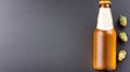 Chilled beer bottle with fresh hops on dark background Royalty Free Stock Photo