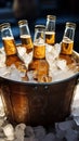 Chilled beer bottles rest in an ice filled pail, promising cold and delightful sips Royalty Free Stock Photo